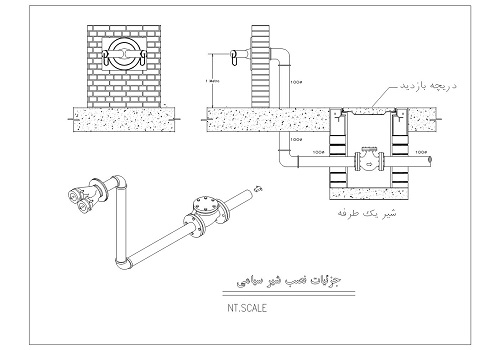 کاربردهای شیر سیامی